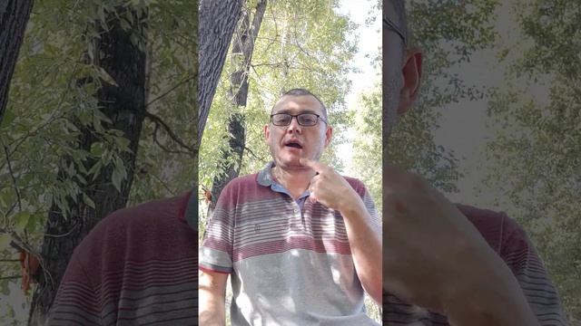 DEAF MK-81 #128 Бывшая жена сделала перехитрить ради квартира. смотреть онлайн