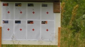 Sako Quad отстрел недорогих патронов на 100 метров