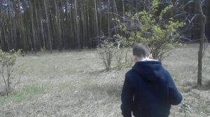 Ловля ящериц.