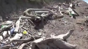 Выживший после кораблекрушения на необитаемом острове