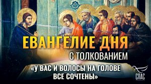 «У ВАС И ВОЛОСЫ НА ГОЛОВЕ ВСЕ СОЧТЕНЫ» / ЕВАНГЕЛИЕ ДНЯ