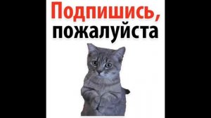 Кринжовые звуки и тренды под них 2