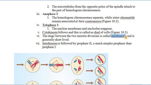 Cell Division- Meiosis Lesson No.2 (part 2.3) Science 2: SSC Board: Life Processes Part -1