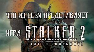 Что из себя представляет игра STALKER 2