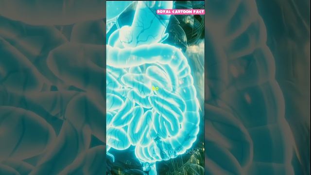 क्या आप जानते हैं? मानव शरीर में 39 ट्रिलियन बैक्टीरिया । 39 trillion bacteria in human body #facts смотреть онлайн