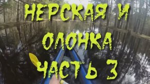 Нерская и Олонка 2023. Часть 3