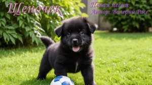 Новая детская песенка "Щеночек"