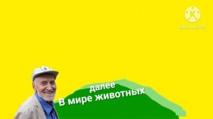 Плашка В мире животных хромакей