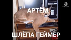 КАКОЙ ТЫ ШЛЁПА ПО ИМЕНИ