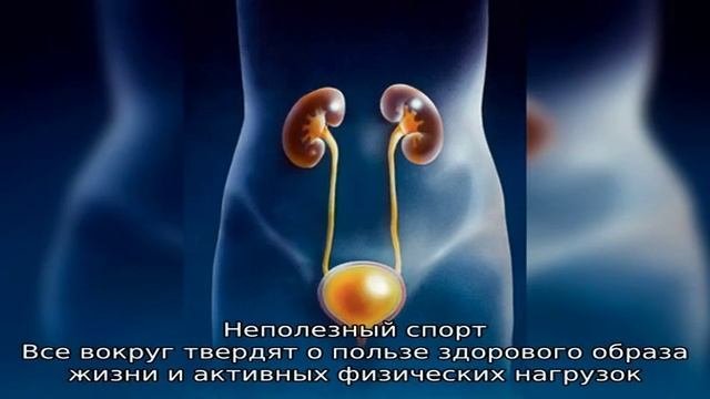 Лечение постоянного цистита: о чем забывают пациенты