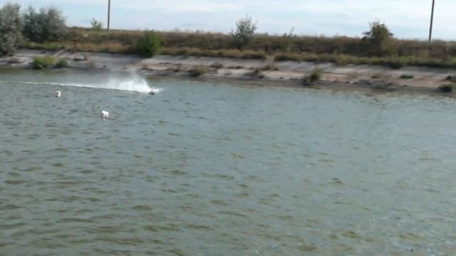 Открытые всеукраинские соревнования на Кубок памяти Александра Дремлюги в классах FSR 2013 год смотреть онлайн