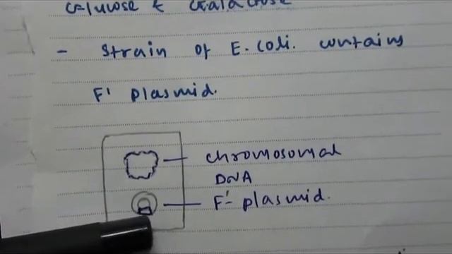 Concept of Merozygotes (Partial Diploids) in Lactose Operon смотреть онлайн
