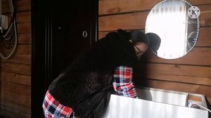 Инкубация индоутиных яиц. Начало.