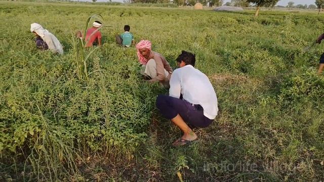 hamare gaon ki life ¶ hamare gaon ki desi life ¶ india Uttar Pradesh and the village ¶ rural life смотреть онлайн