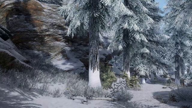 Skyrim Music & Ambience _ Walking Across Skyrim - Pinewatch To Bruma _ Ambient Music АСМР РЕЛАКС