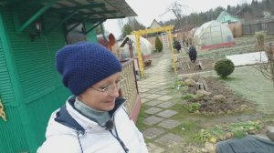 Видео привет с 6 соток 12 ноября 2024 года.