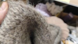 ДУМАЛА УЙДЁМ С ПУСТЫМИ РУКАМИ 🤦♀️КУПИЛИ🥩РЫБЫ/ДОВОЛЬНА ТОВАРОМ КОТОРЫЙ