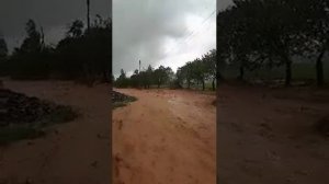 СЕЛИ ДАХШАД ДАР ШАХРИ ПАДҶИКЕНТ ДЕХАИ ЁРИ