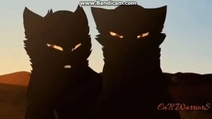 коты воители Сумеречница и Грач .