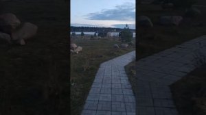 Калязин-гостиница Палуба(2)