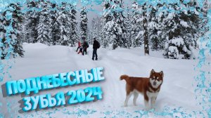 Поднебесные зубья 2024г.