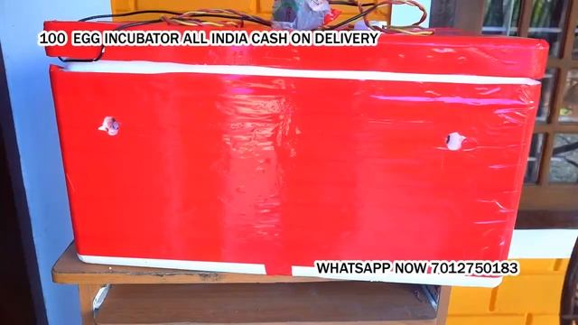 100 Egg Incubator hatching machine Uran Raigad смотреть онлайн