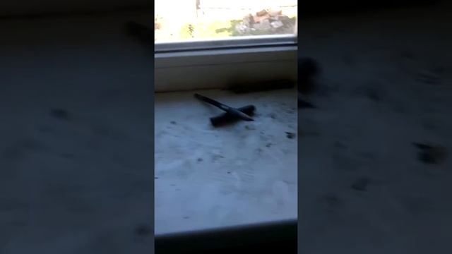 Подушка из песка стяжка пола кухня