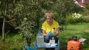 Плодовая гниль, монилиоз. Как предотвратить. Баковая смесь от Натальи Петренко.mp4