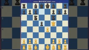 Первые ходы ч.2