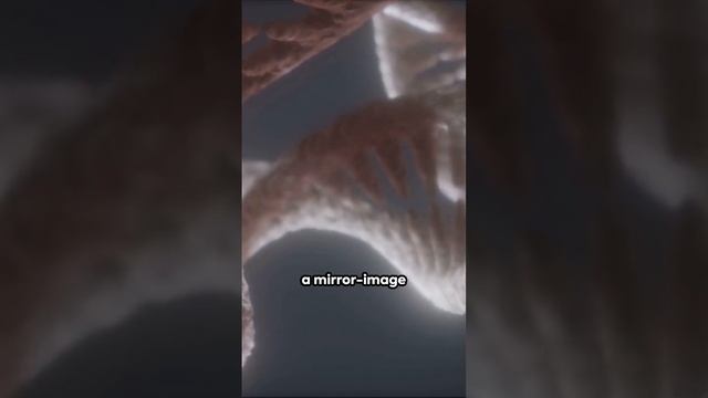 microbiology topic : transcription in prokaryotes ,Important for all biology students
