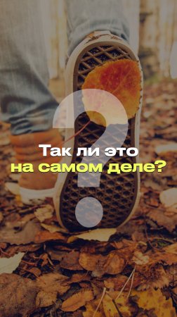 Как гулять правильно? #новости #факты #мифы