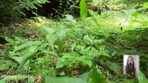 Свекровь клеветала на невестку, а как только та заболела, приказала сыну избавиться от неё, но...