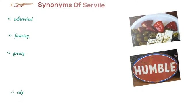 Servile - Meanings Pronunciation Examples and Synonyms
