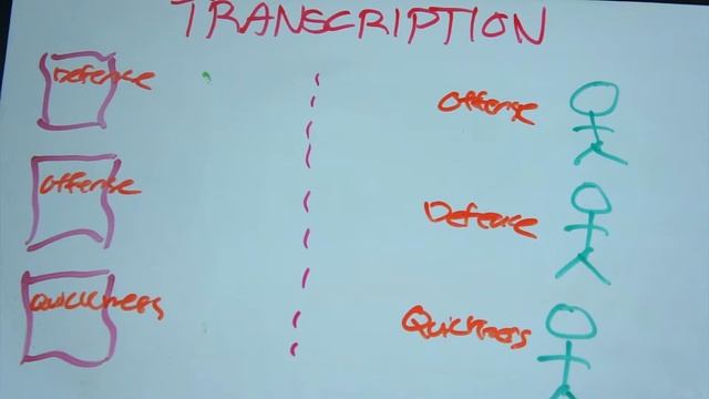 DNA Replication  Protein Synthesis