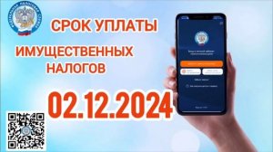 Ролик оплата 02.12.2024