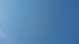 Geoscan 401 - Manual Landing