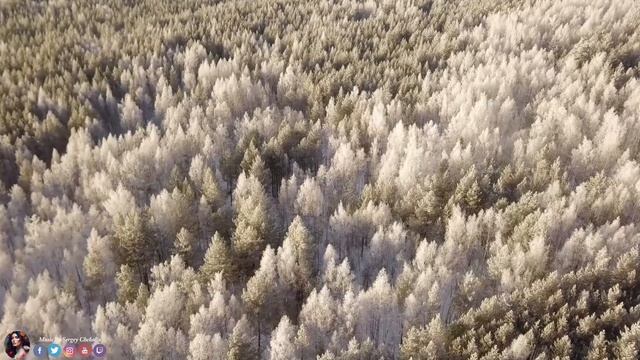 ВОССТАНОВЛЕНИЕ НЕРВНОЙ СИСТЕМЫ! Эту музыку можно слушать вечно! Музыка для лечения стресса