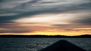 Охота на гуся Карелия 2024