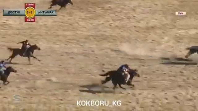 Ынтымак командасынын мыкты коргонуу смотреть онлайн