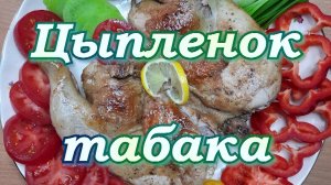 ЦЫПЛЕНОК  ТАБАКА