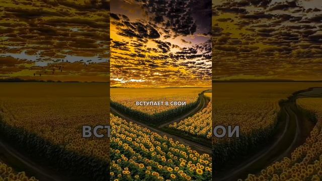 Гармональное расписание смотреть онлайн