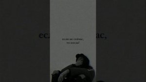 Лёша Стелит, ChipaChip - Толер