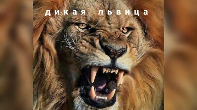 ALEX&RUS - Дикая львица 😈 [Slowed + Reverb] - смотреть видео онлайн от ...