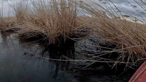 Балхаш. Рыбалка в Дельте реки Или. Сом, Сазан, Змееголов. 2 Часть.