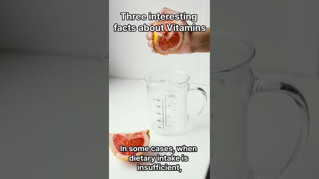 Three interesting facts about Vitamins смотреть онлайн