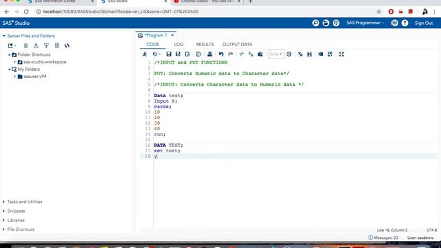 SAS Programming Day 21 | INPUT and PUT functions in SAS