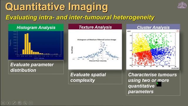 Tumour heterogeneity: what does it mean? Dow-Mu Koh смотреть онлайн