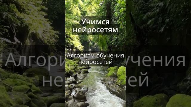 Терминология нейросетей - Backpropagation #taus #нейросеть #ai #backpropagation