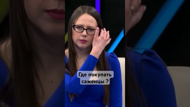 Где покупать саженцы ? смотреть онлайн