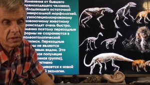 Как вера в эволюцию заменила науку. Теория и инволюции. Александр Белов 18.07.2024 г.